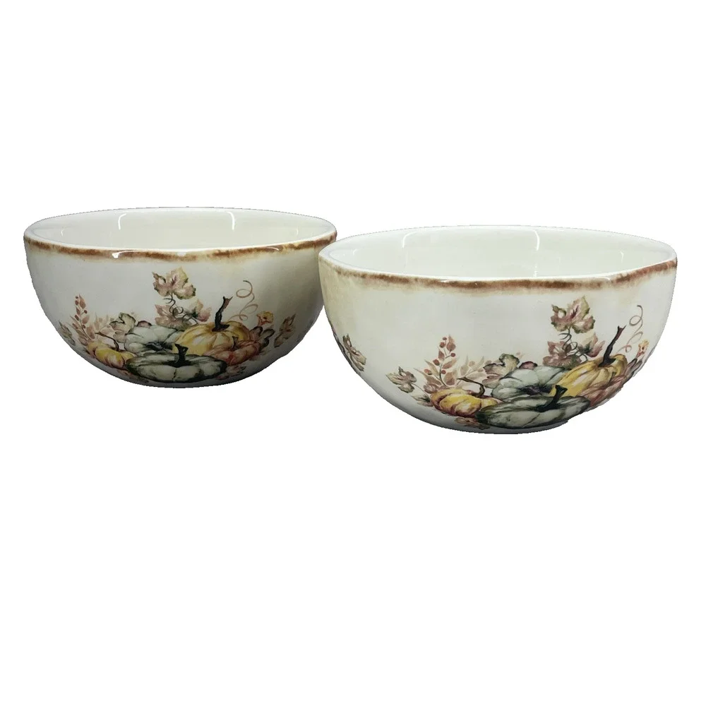 Set of 2 Pier 1 Harvest Blessings Soup Cereal Bowls Earthenware 6